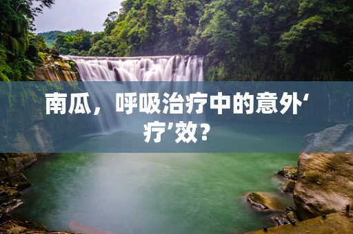 南瓜，呼吸治疗中的意外‘疗’效？