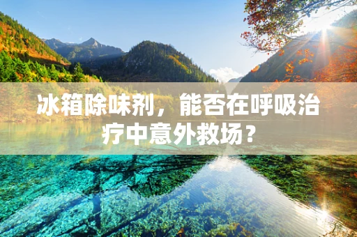 冰箱除味剂，能否在呼吸治疗中意外救场？