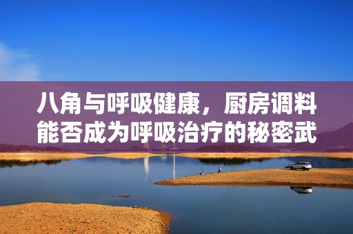 八角与呼吸健康，厨房调料能否成为呼吸治疗的秘密武器？