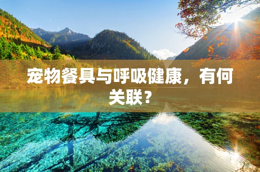宠物餐具与呼吸健康，有何关联？