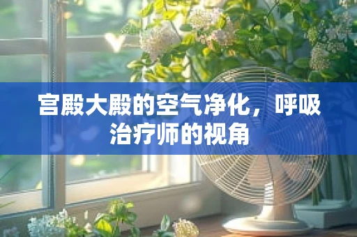 宫殿大殿的空气净化，呼吸治疗师的视角