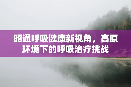 昭通呼吸健康新视角，高原环境下的呼吸治疗挑战