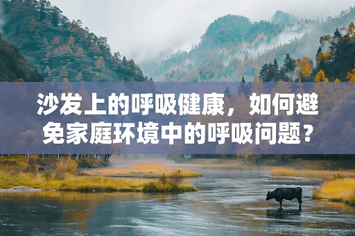 沙发上的呼吸健康，如何避免家庭环境中的呼吸问题？