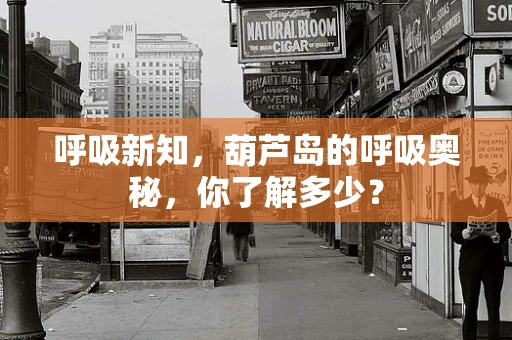 呼吸新知，葫芦岛的呼吸奥秘，你了解多少？