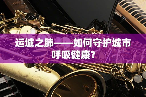 运城之肺——如何守护城市呼吸健康？