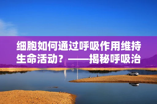 细胞如何通过呼吸作用维持生命活动？——揭秘呼吸治疗中的细胞生物学奥秘