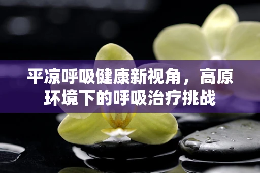 平凉呼吸健康新视角，高原环境下的呼吸治疗挑战