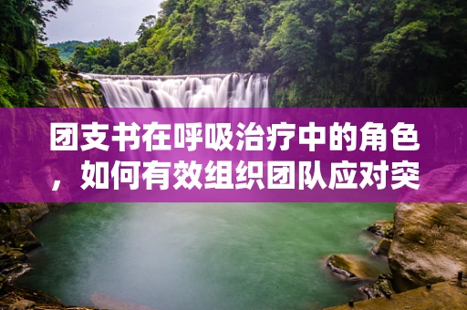 团支书在呼吸治疗中的角色，如何有效组织团队应对突发呼吸疾病挑战？