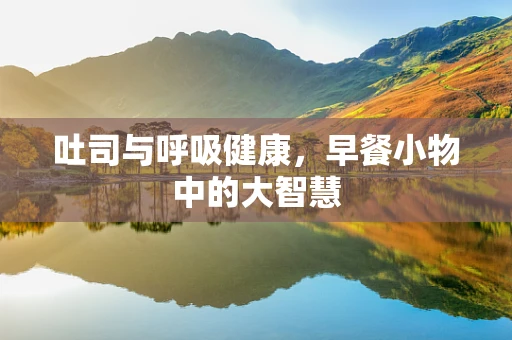 吐司与呼吸健康，早餐小物中的大智慧