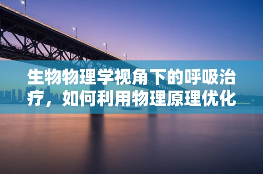 生物物理学视角下的呼吸治疗，如何利用物理原理优化肺功能？