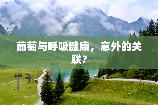 葡萄与呼吸健康，意外的关联？