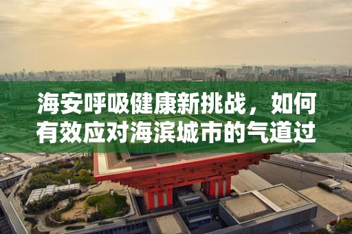 海安呼吸健康新挑战，如何有效应对海滨城市的气道过敏问题？
