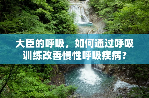 大臣的呼吸，如何通过呼吸训练改善慢性呼吸疾病？