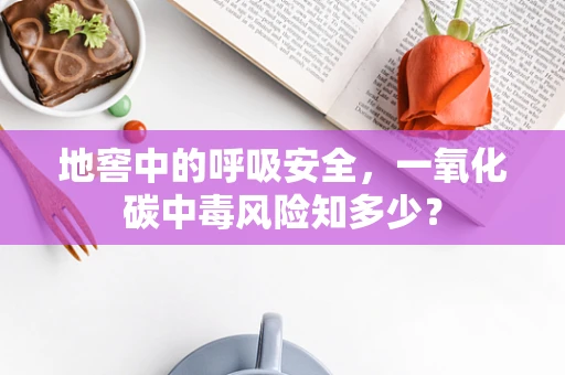 地窖中的呼吸安全，一氧化碳中毒风险知多少？