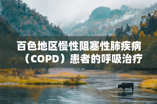 百色地区慢性阻塞性肺疾病（COPD）患者的呼吸治疗挑战与策略