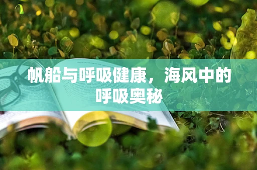 帆船与呼吸健康，海风中的呼吸奥秘