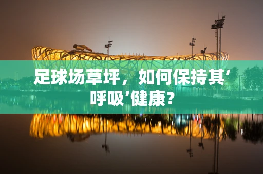 足球场草坪，如何保持其‘呼吸’健康？
