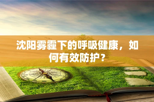 沈阳雾霾下的呼吸健康，如何有效防护？