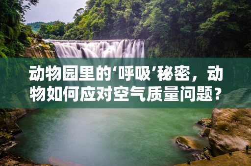 动物园里的‘呼吸’秘密，动物如何应对空气质量问题？