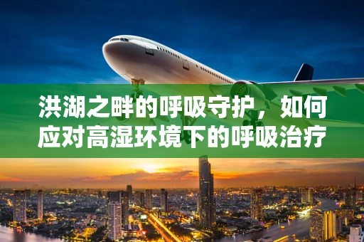 洪湖之畔的呼吸守护，如何应对高湿环境下的呼吸治疗挑战？
