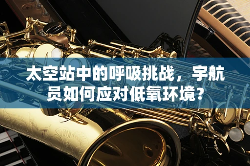 太空站中的呼吸挑战，宇航员如何应对低氧环境？