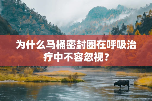 为什么马桶密封圈在呼吸治疗中不容忽视？