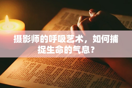 摄影师的呼吸艺术，如何捕捉生命的气息？