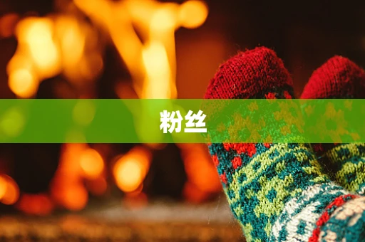 粉丝