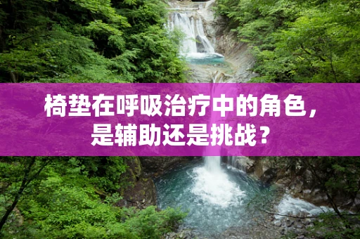椅垫在呼吸治疗中的角色，是辅助还是挑战？