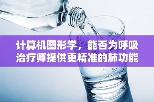 计算机图形学，能否为呼吸治疗师提供更精准的肺功能评估？