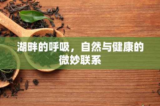 湖畔的呼吸，自然与健康的微妙联系
