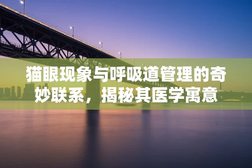 猫眼现象与呼吸道管理的奇妙联系，揭秘其医学寓意