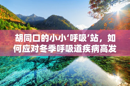 胡同口的小小‘呼吸’站，如何应对冬季呼吸道疾病高发？