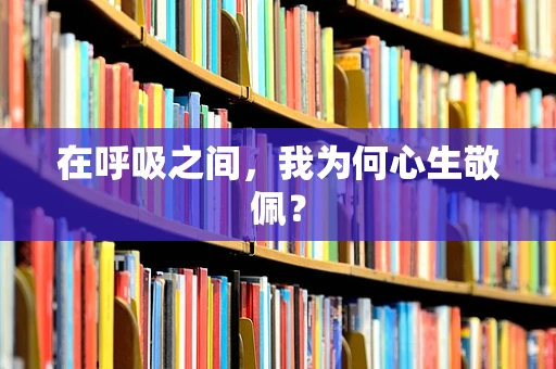 在呼吸之间，我为何心生敬佩？