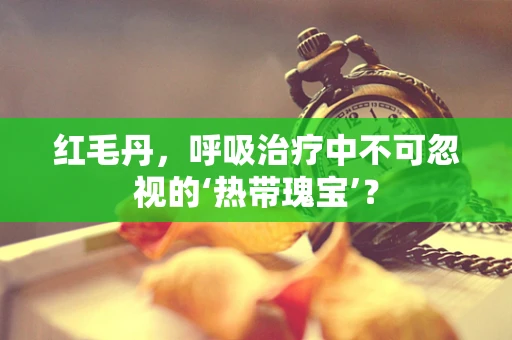 红毛丹，呼吸治疗中不可忽视的‘热带瑰宝’？