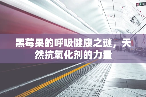黑莓果的呼吸健康之谜，天然抗氧化剂的力量