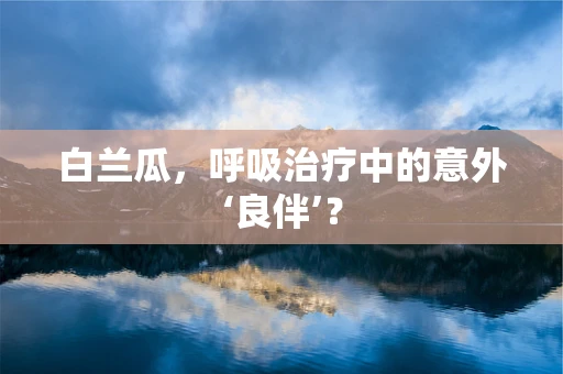白兰瓜，呼吸治疗中的意外‘良伴’？