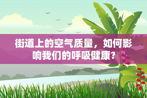 街道上的空气质量，如何影响我们的呼吸健康？