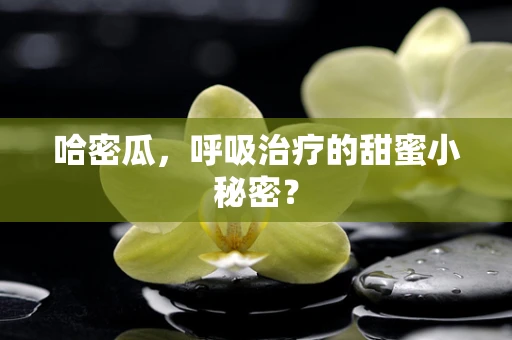 哈密瓜，呼吸治疗的甜蜜小秘密？