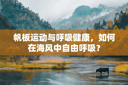 帆板运动与呼吸健康，如何在海风中自由呼吸？