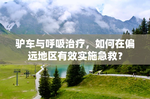 驴车与呼吸治疗，如何在偏远地区有效实施急救？