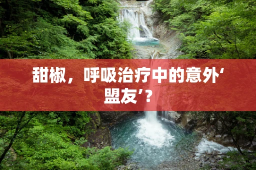 甜椒，呼吸治疗中的意外‘盟友’？