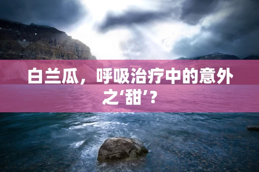 白兰瓜，呼吸治疗中的意外之‘甜’？