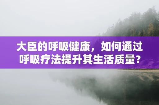 大臣的呼吸健康，如何通过呼吸疗法提升其生活质量？