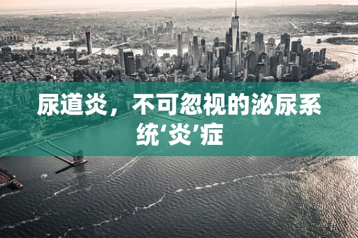 尿道炎，不可忽视的泌尿系统‘炎’症