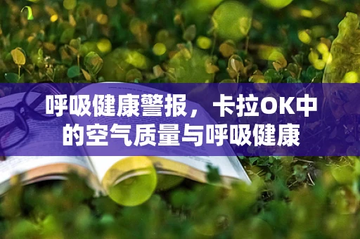 呼吸健康警报，卡拉OK中的空气质量与呼吸健康
