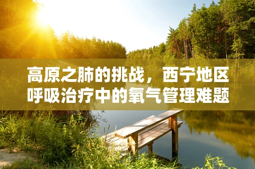 高原之肺的挑战，西宁地区呼吸治疗中的氧气管理难题