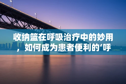 收纳篮在呼吸治疗中的妙用，如何成为患者便利的‘呼吸小助手’？