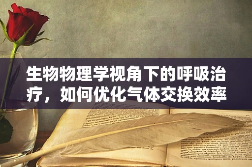 生物物理学视角下的呼吸治疗，如何优化气体交换效率？