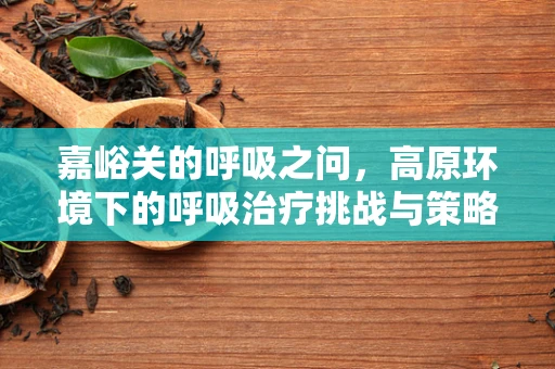 嘉峪关的呼吸之问，高原环境下的呼吸治疗挑战与策略